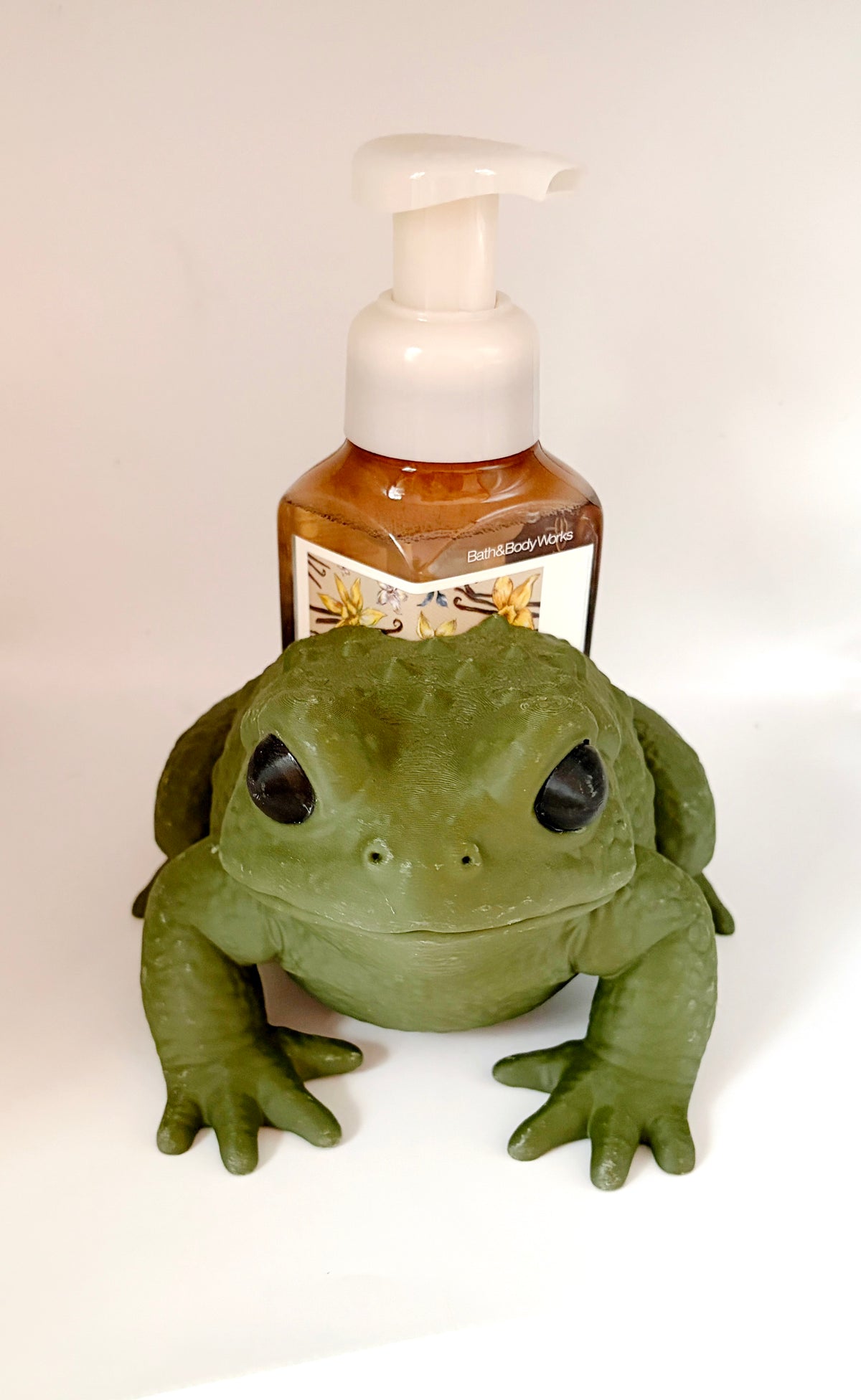 3D Frog Soap Holder